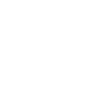 Accessibility Icon