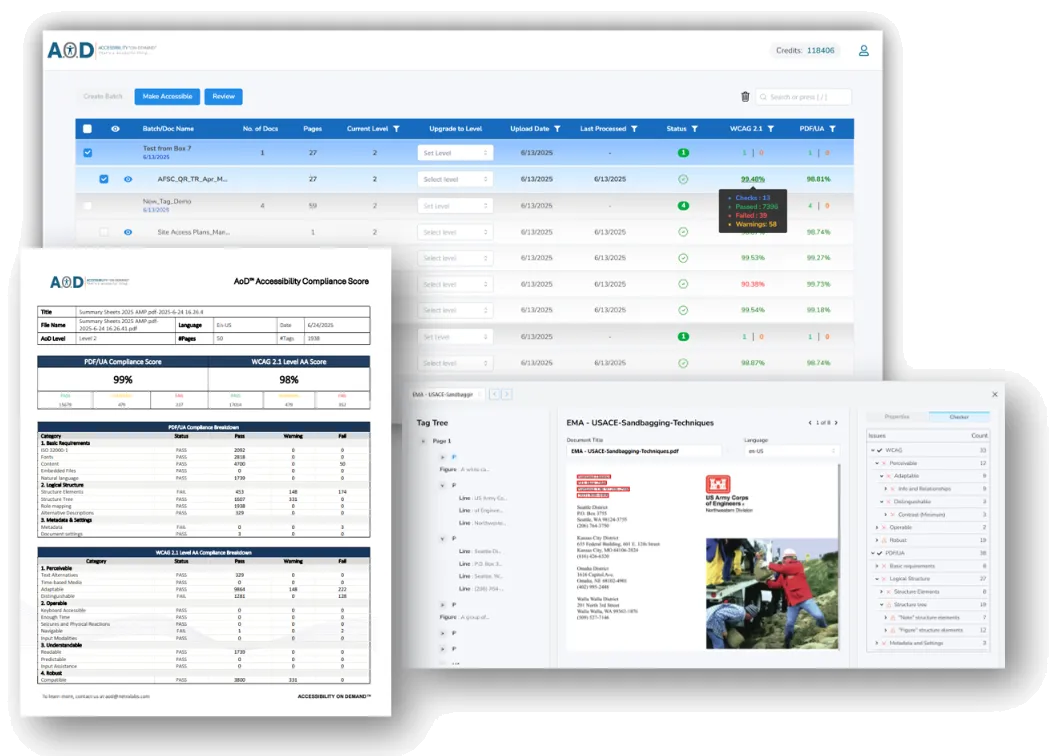 Accessibility on Demand™ Software Screenshots of Document, Platform, and Accessibility Remediation Checklist